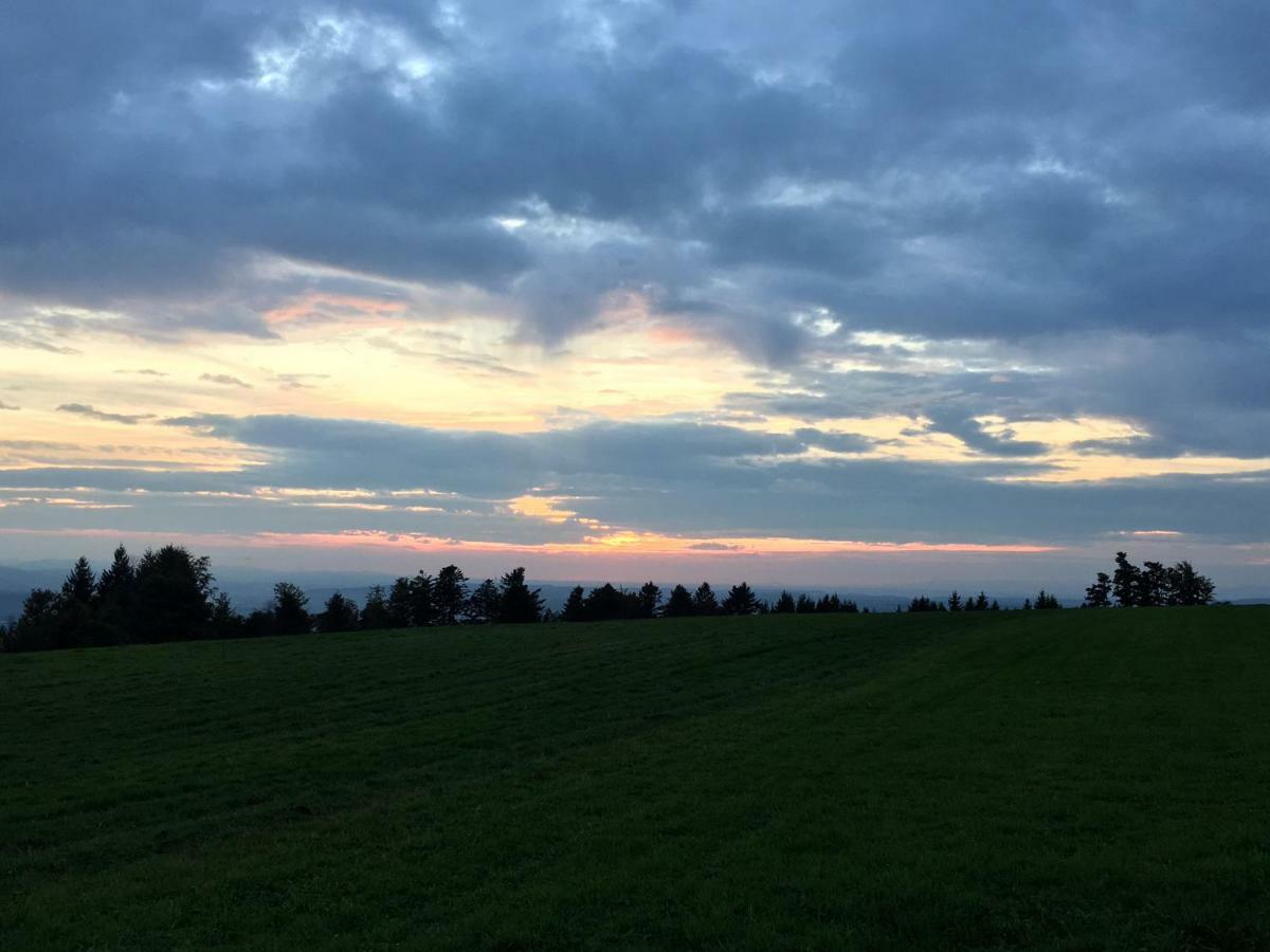 Appartement Bergwaerts Rickenbach  Екстер'єр фото